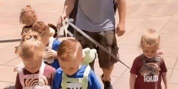 Как бы вы отреагировали на такое зрелище?