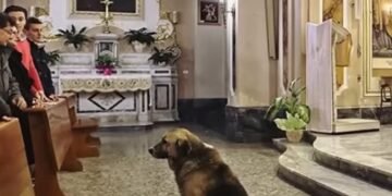 Каждый день грустный пес приходил в церковь и тихо слушал молитвы.