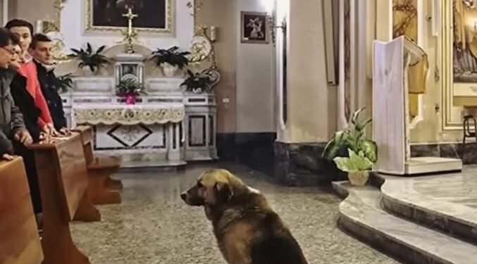 Каждый день грустный пес приходил в церковь и тихо слушал молитвы.