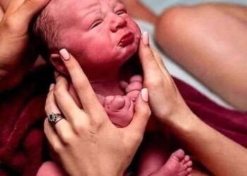 Боль и её восприятие