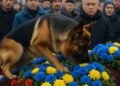 Овчарка лаяла у гроба хозяина и сминала цветы: когда крышку приподняли, все были потрясены
