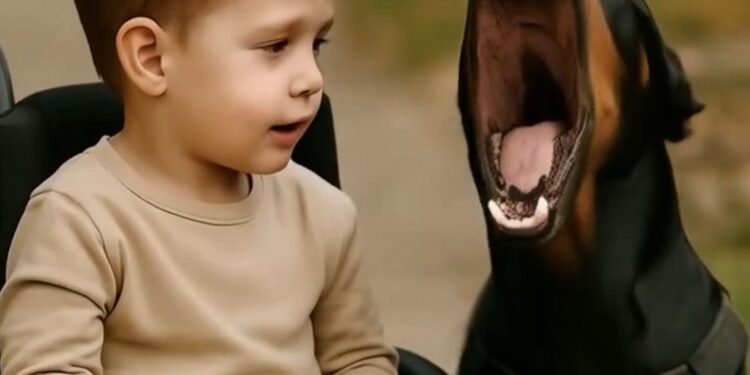 Мы с мужем были заняты домашними делами и оставили нашего парализованного четырехлетнего сына с нашим доберманом по кличке Тара.