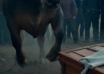 Бык начал топтать гроб. Когда крышка треснула, люди увидели…