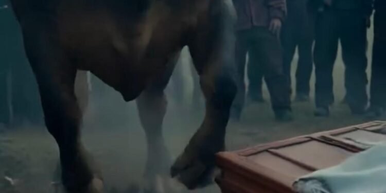 Бык начал топтать гроб. Когда крышка треснула, люди увидели…